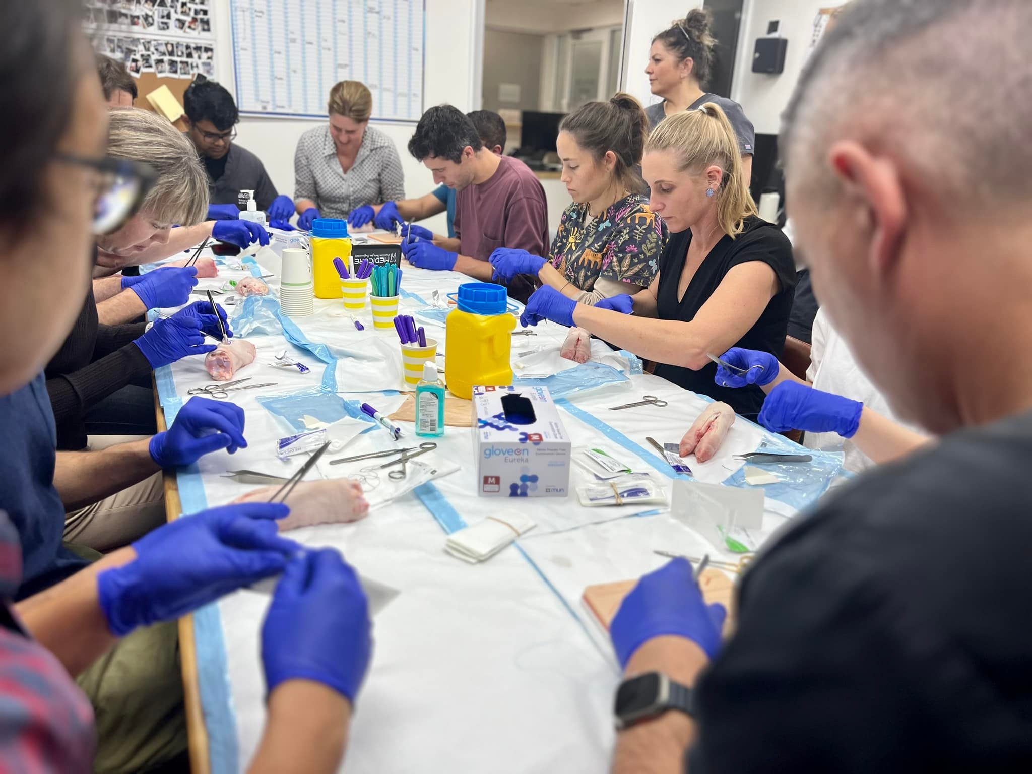 aura family doctors registrar training practice